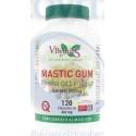 Mastic Gum (Resina de Lentisco), 120 cápsulas