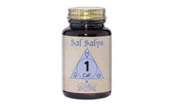 Sal Salys 01 CaF, 90 comprimidos