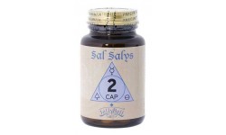 Sal Salys 02 CaP, 90 comprimidos