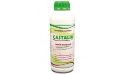 Castalia CASTALIA POTASICO 1 lt