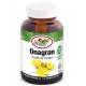 El Granero Integral ONAGRAN ACEITE DE ONAGRA 220+30 PERLAS 700 mg