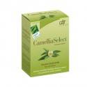 Camellia Select. 60 cápsulas