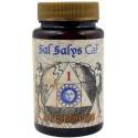 Sal Salys 01 CaF 60 comp.