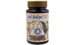Sal Salys 02 CaP 60 comp.