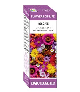 Colgante Árbol de la Vida Chakras - Baño Plata