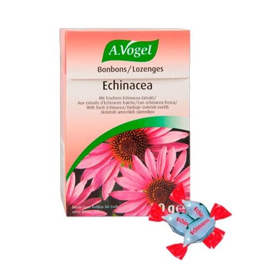 Echinacea caramelos