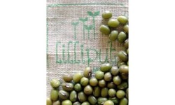 Semillas de Judía Mungo (Soja Verde) - 50gr