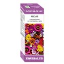 FLOWERS OF LIFE RESCATE, 15 ml.